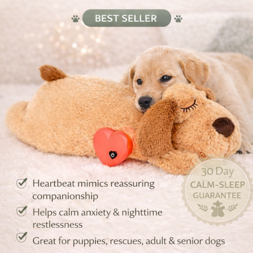 Calming Heartbeat Companion