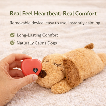 Calming Heartbeat Companion